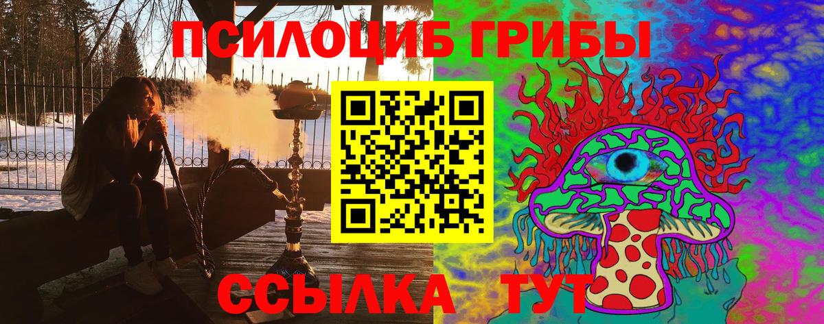 Видное  Галлюциногенные грибы мицелий  где можно купить наркотик  Вход с VPN 